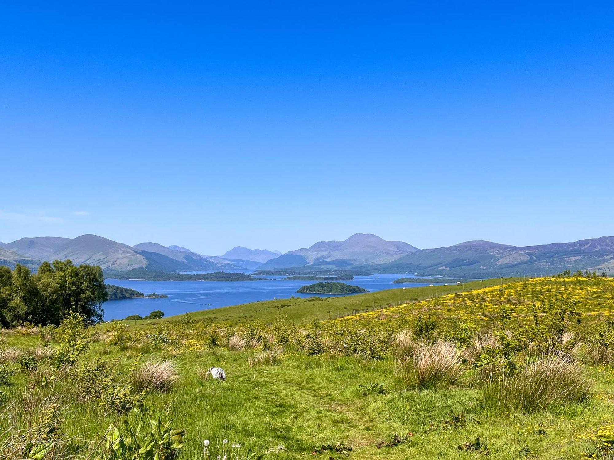 אלכסנדריה Stable Cottage, Gartocharn, Loch Lomond מראה חיצוני תמונה